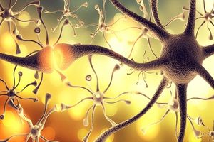 Ocrelizumab Shows Superiority to or Comparability with Other Multiple Sclerosis Treatments