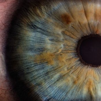 Tolerance of Some Retinal Fluid Requires Less Anti-VEGF Therapy