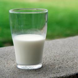 Milk Substitutes Adequately Address Nutritional Needs for Individuals with Milk Allergies