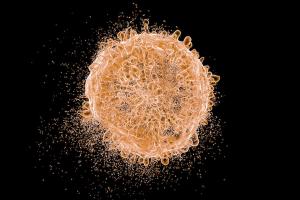 Children with Acute Lymphoblastic Leukemia May Be Immunologically Disparate at Birth