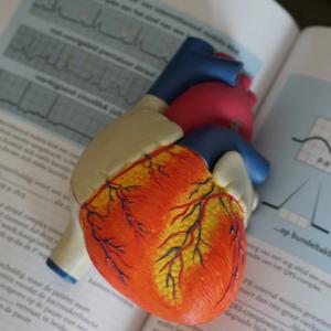 Heart Education: Knowledge Saves Your Life