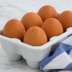 Egg Consumption Through Breast Milk Insufficient for Allergy Prevention in Infants at 12 Months