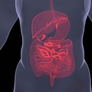 Latest News and Updates on C. Difficile Infection Management and Treatment