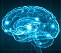 Data Provide New Neurobiological Insight on Insomnia