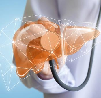 Liver | Credit: Fotolia