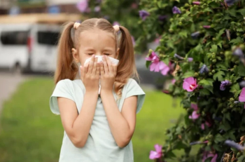 Credit: Adobe Stock/ Pixel-Shot