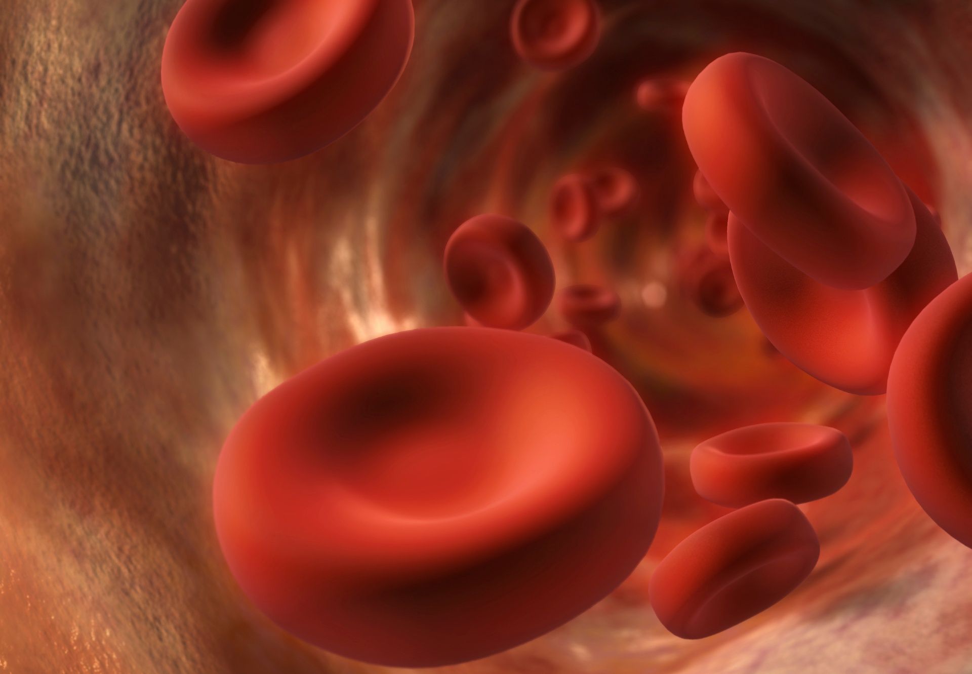 Digital illustration of blood cells.