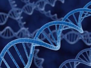 Case-Based Peer Perspectives in Fabry Disease