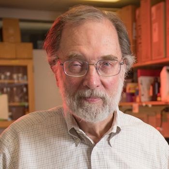 Phase 2 Data on Rilzabrutinib as Rescue Medication for Asthma, with William Busse, MD