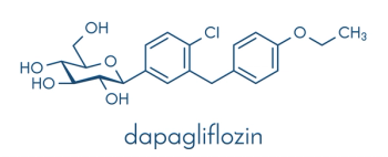 SGLT2 Inhibitors May Reduce Kidney Problems in Diabetics