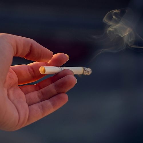 herbal cigarette smoking Amazon.com: Honeyrose Herbal Cigarettes 
