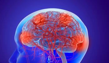 Illustration of a human brain.