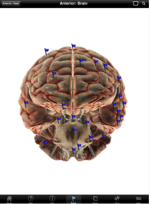 Apps for Neurologists: The Good, the Bad, and the Ugly