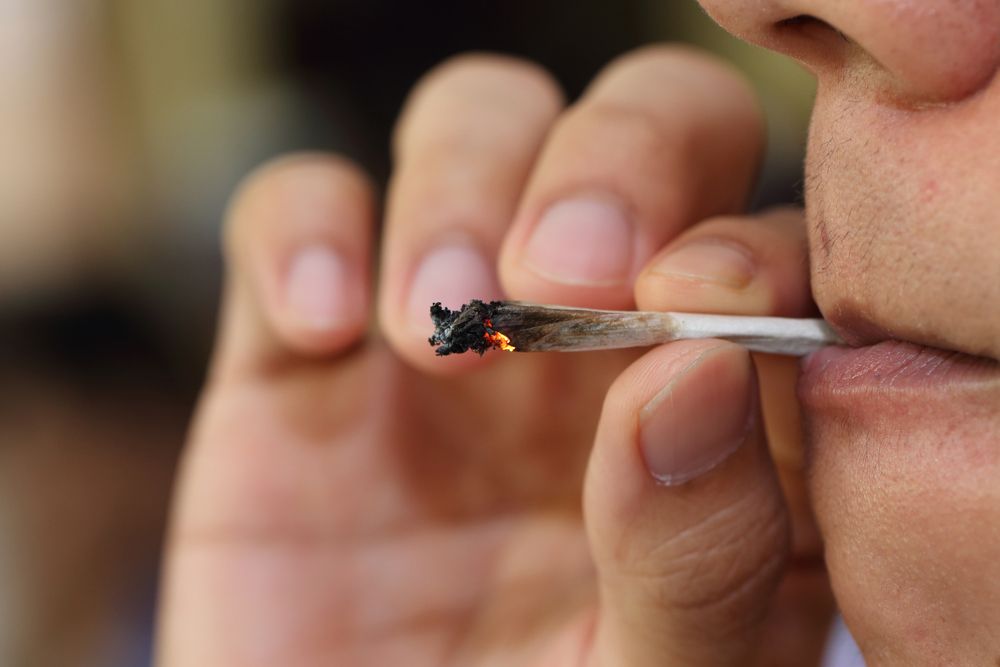 Marijuana Screening Recommended for Cardiovascular Disease