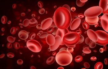 An illustration of blood cells