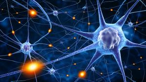  Greater Benefits for Relapsing-Remitting MS Found with HSCT Therapy