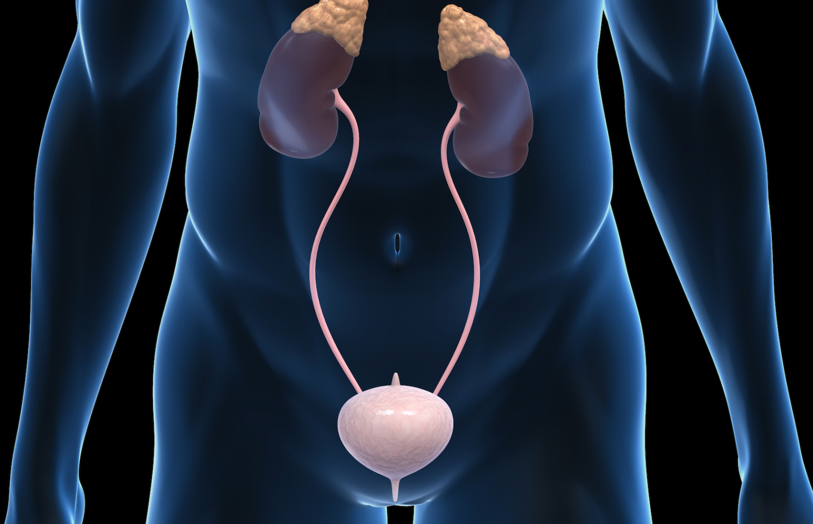 Maple Syrup Urine Disease Models To Be Presented In San Diego   Fe0415382dca4c0ea7aba069f8957863ce4829c7 1600x1032 