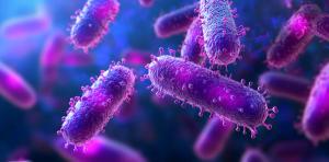 Legionnaires’ disease bacteria illustration. Close-up view of bacteria under a microscope. Created by AI. (Adobe Stock 1627175762  by VinakMotion