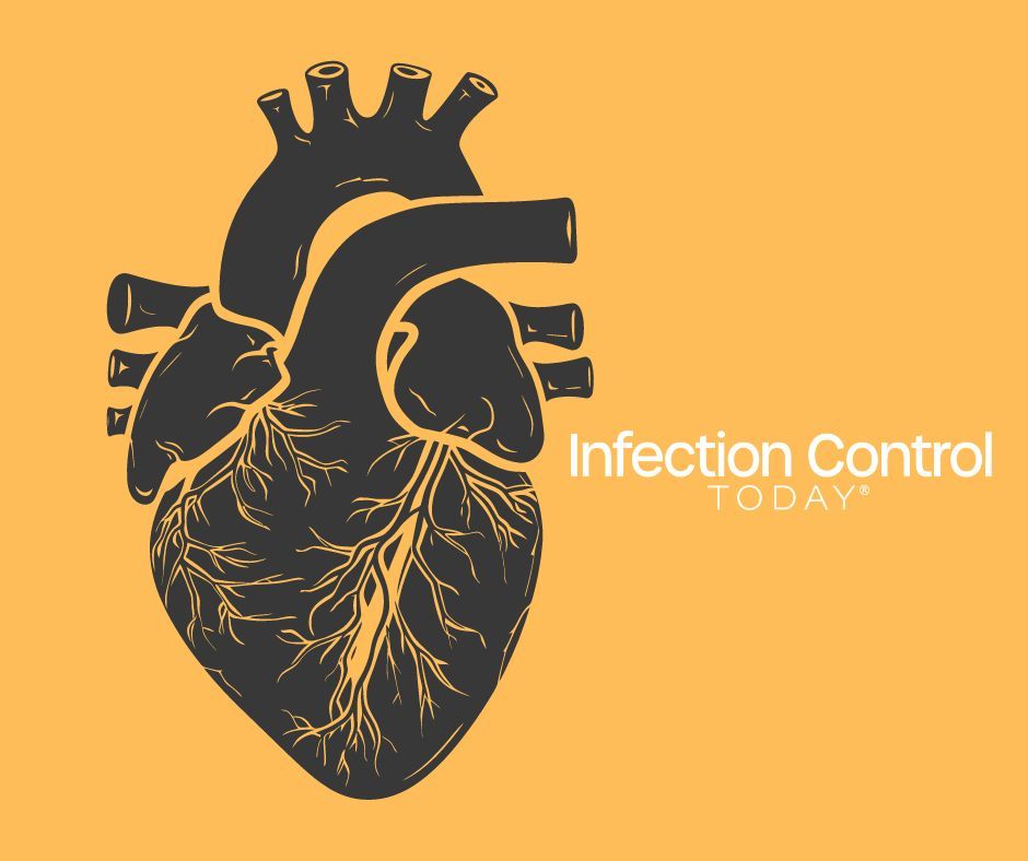 Silhouette for internal organs of heart (Adobe Stock 765185323 by NikahGeh by AI)