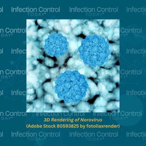Norovirus--3D rendering   (Adobe Stock 80593825 by fotoliaxrender)