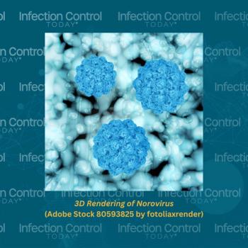 Norovirus--3D rendering   (Adobe Stock 80593825 by fotoliaxrender)
