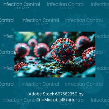 (Adobe Stock 697582350)