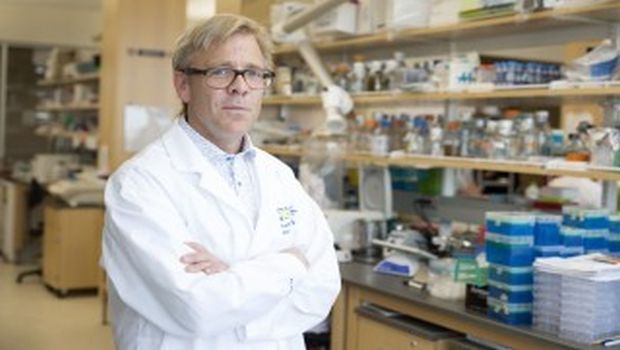 Adam Retchless Researchers Develop New Tools to Combat Antibiotic Resistance ...