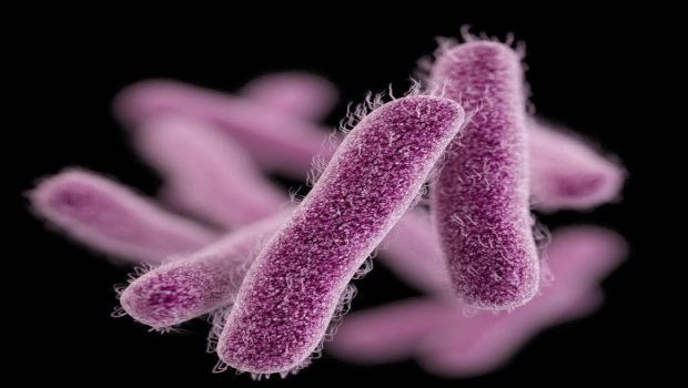 Multidrug-Resistant Shigellosis is Spreading in the U.S. | Infection ...