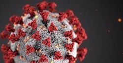 3 CDC Studies Leave Little Doubt: COVID-19 Vaccines Work