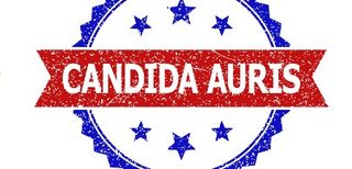 Candida auris: How Environmental Hygiene Protects Vulnerable Patients