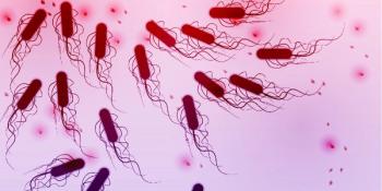 microscopic image of bacteria