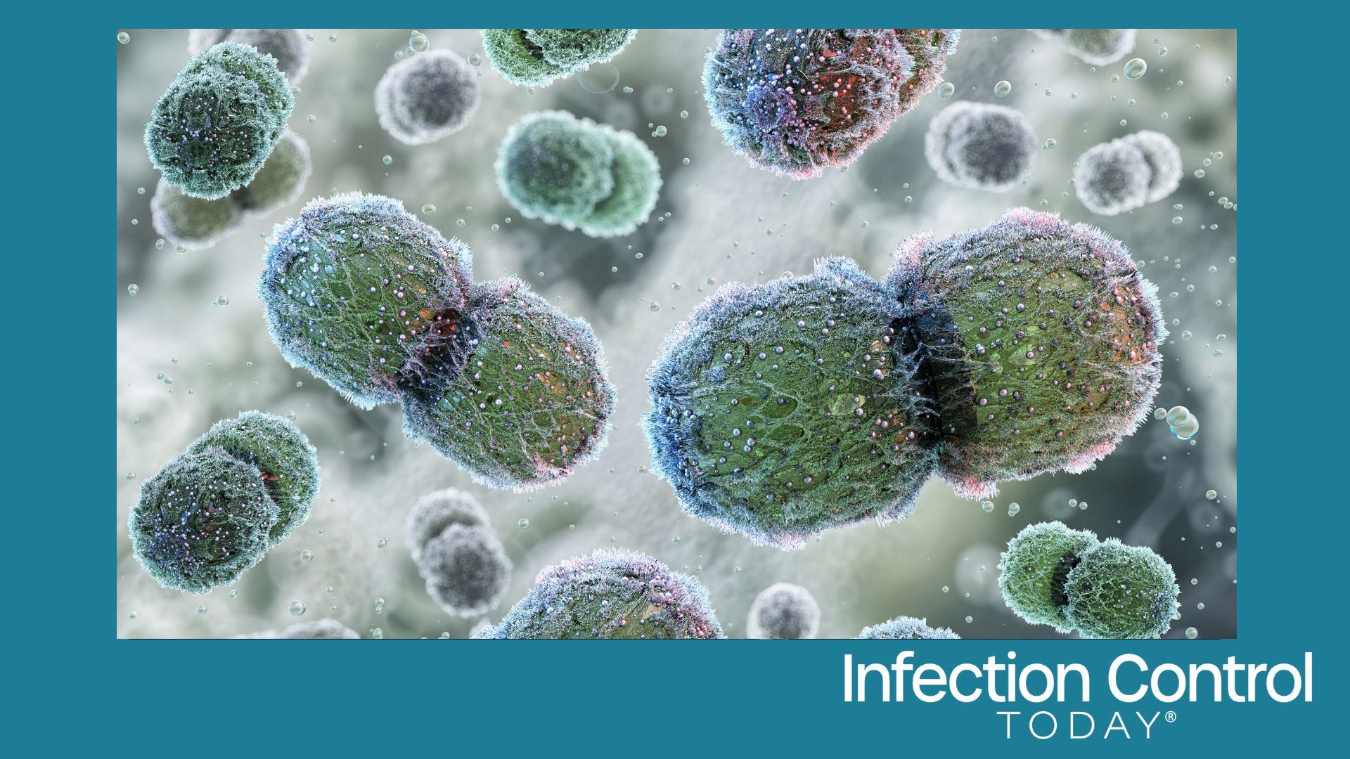 Vancomycin-resistant Enterococcus (VRE) bacteria. (Adobe Stock by Corona Borealis)