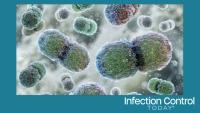 Vancomycin-resistant Enterococcus (VRE) bacteria.  (Adobe Stock by Corona Borealis)