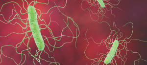 C Diff Infection? Take Note of the Risk Factors