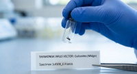 Shamonda Virus Vector (midge) in a bottle (Image by author with AI)