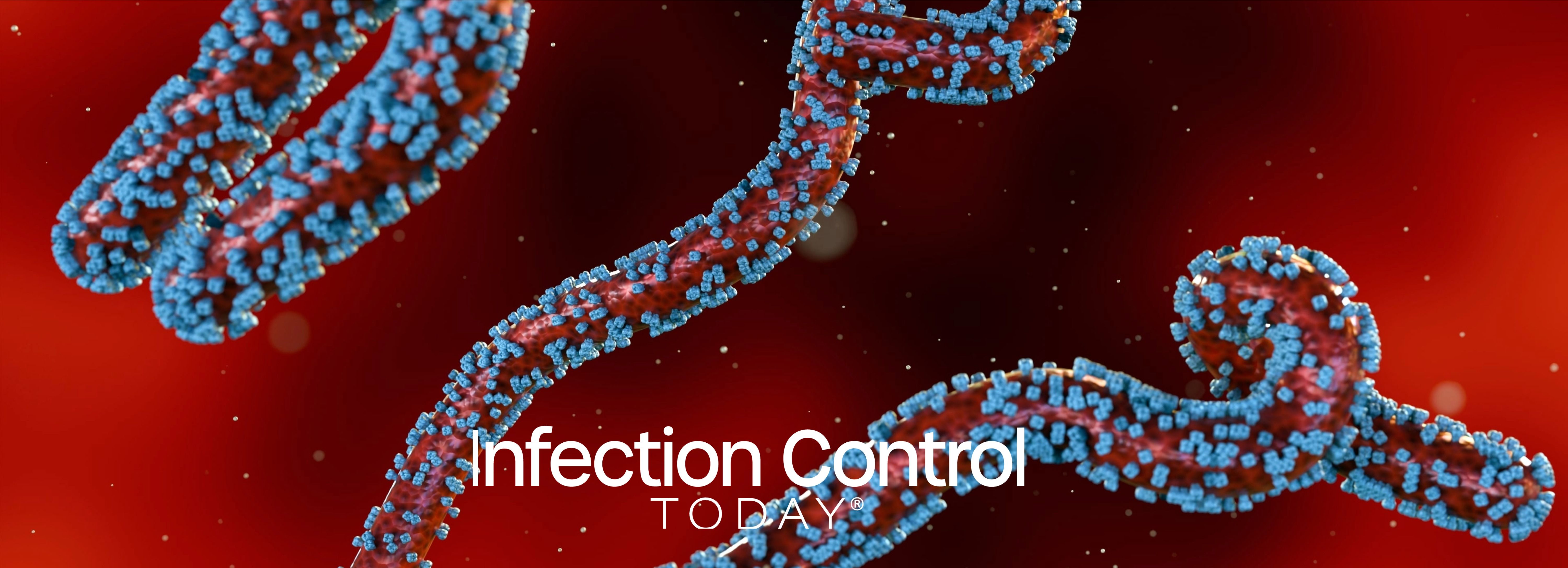 A 3D rendering of a close-up view of scattered Marburg virus particles (Adobe Stock 920439495by Love Employee)