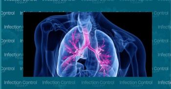 3d rendered medically accurate illustration of the bronchi    (Adobe Stock 282270645 By SciePro)