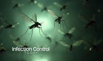 Swarm of Mosquitoes on Green Background Disease Carriers Insect Infestation  (Adobe Stock 1609688034 by Amith)