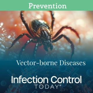 Vector-borne Diseases (Adobe Stock)