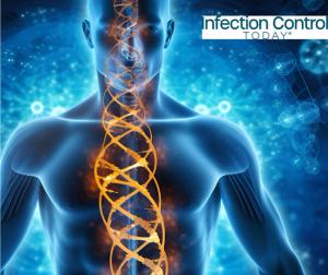 Immune system. A complex network of organs, cells, and proteins that defend the body against infection. (Adobe Stock 616158638 by Hadi)