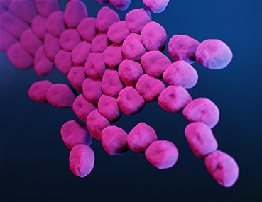 When Carbapenem-resistant Acinetobacter baumannii Comes Calling