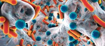 microscopic biofilm