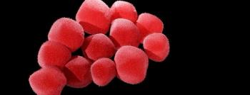 Staphylococcus aureus bacteremia.