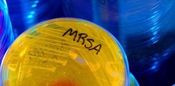 MRSA (Adobe Stock, unknown)