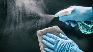 More to Surface Disinfection Than Meets the Eye