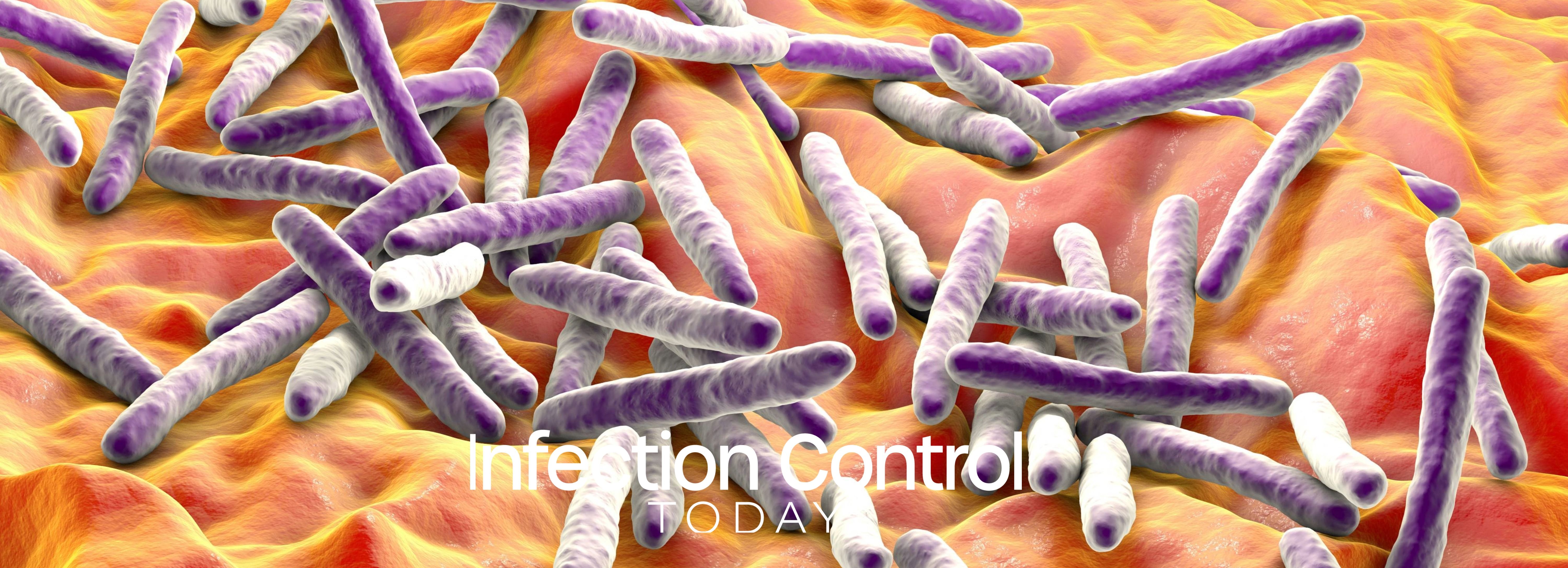 Bacteria Mycobacterium tuberculosis (Adobe Stock by Dr_Microbe)