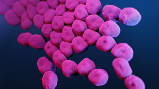 Increased Focus on Infection Prevention Pays Off