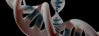 A plasmid is a small circular DNA molecule found in bacteria and some other microscopic organisms. (Adobe Stock 522876298 by Love Employee)