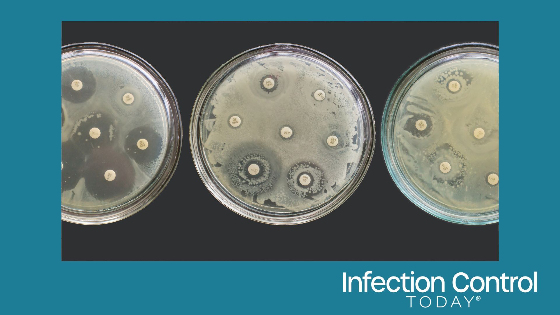 Antibiogram multiple drug resistance bacteria (Adobe Stock 463019037 by Nicolae)