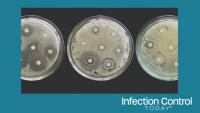 Antibiogram multiple drug resistance bacteria (Adobe Stock  463019037 by Nicolae)